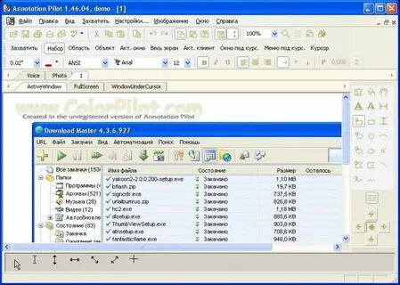aviator nation ou merch 