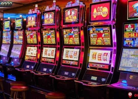 bingo online hosting 