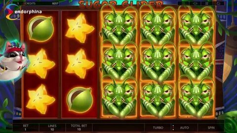 brasileirão série a u20 