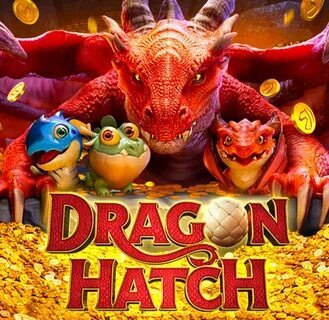 cassino online crime 