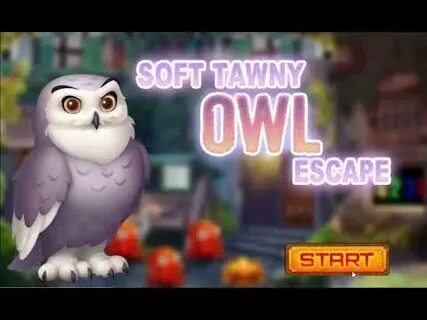 código de indicação betano 2025 