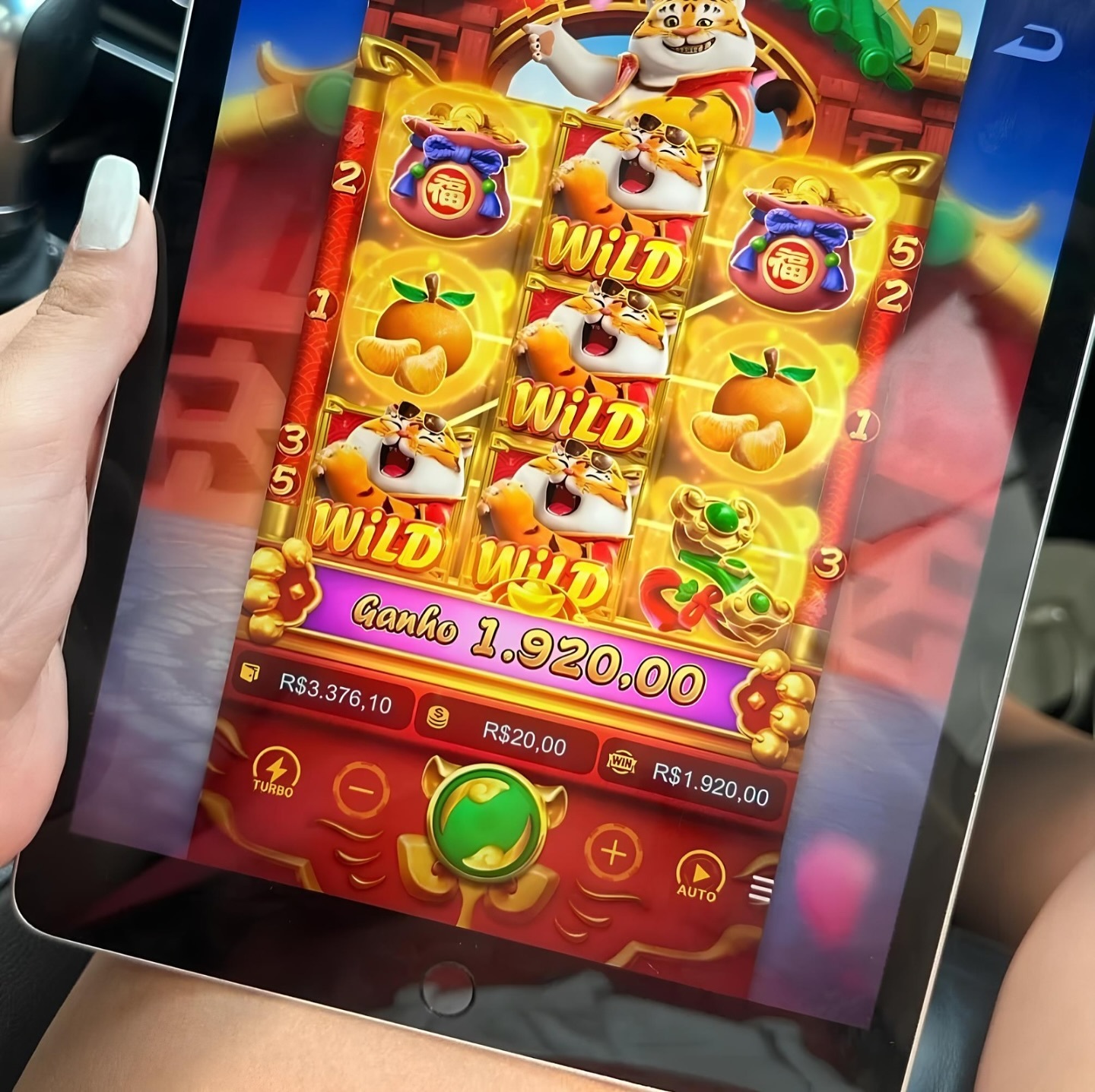 grupo corridas de galgos bet365 