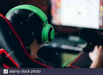 novibet nvbt gaming ltda 