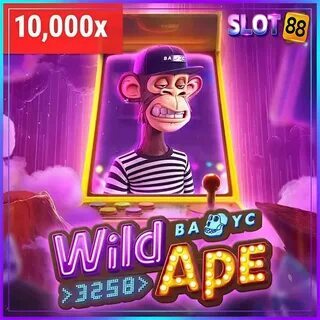 palpites de futebol para amanhã liga dos campeões 