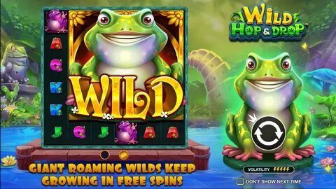 plataforma nova pagando cassino 