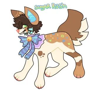 purificador soft everest 