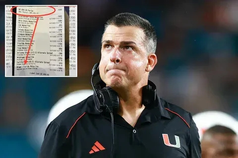 vinte e cinco vinte e um wallpaper 