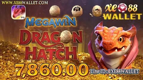 zac efron antes e depois 