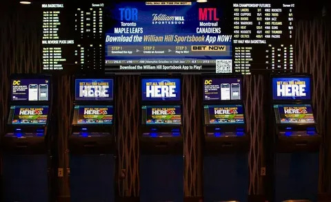 é permitido cassino online no brasil 